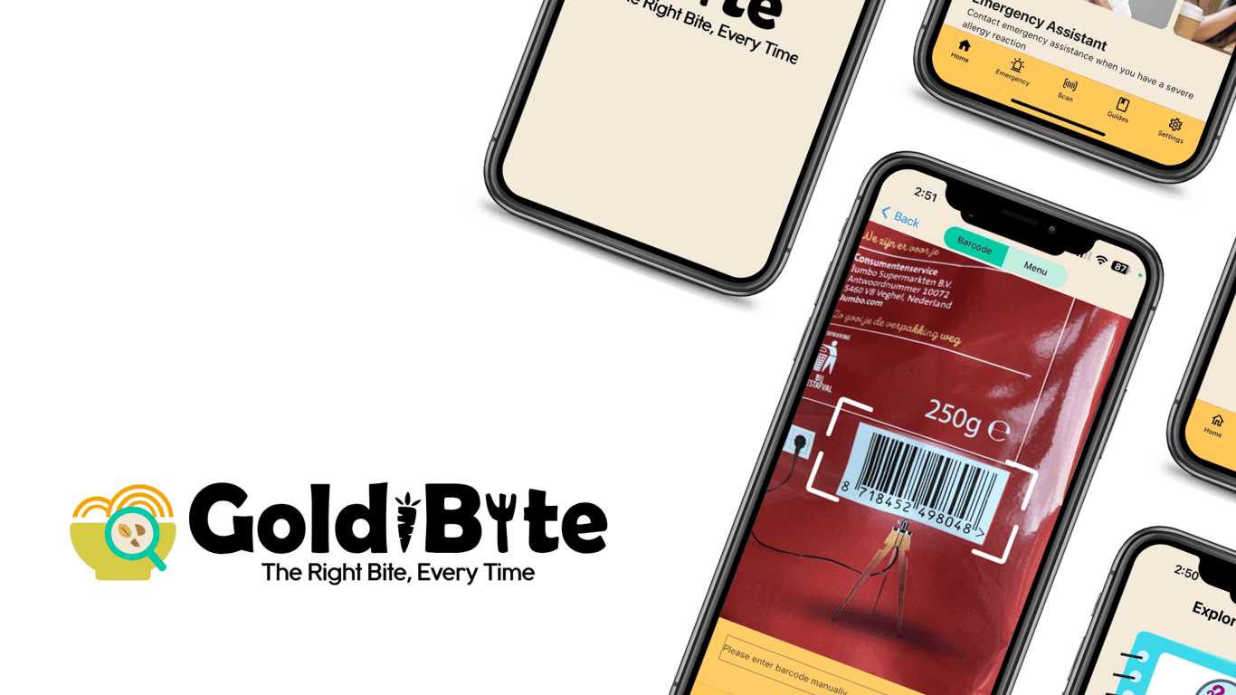 Weekly Update (Nov 12): Enhancing Layout, Functionality, and Testing